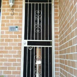 Wrought Iron Door W/ Stainless Steel Mesh
