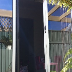 PET DOORS